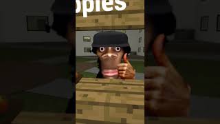 Escape Nextbots My Name Is Aughhh And Apple Cats Wants Apple gmod [upl. by Casavant]