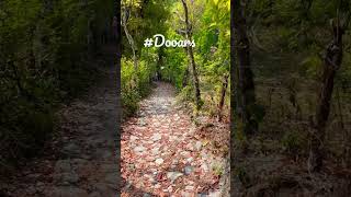 Lepchaka dooars lepchakha travelvlog naturebeauty DooarskaLonda [upl. by Macdougall]