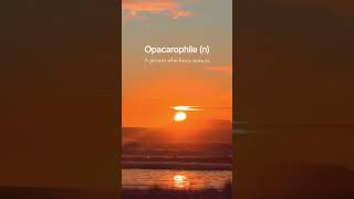 Opacarophile  a person who loves the sunset sunset opacarophile oceanwaves [upl. by Tade]