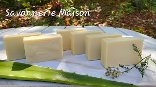 Savon hydratant à laloe vera  Recette facile et naturelle  Recipe for soap with fresh aloe vera [upl. by Showker563]