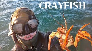 EPIC CRAYFISH ADVENTURE  Port elizabeth South Africa [upl. by Neltiac]