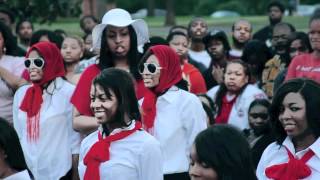 Delta Sigma Theta Epsilon Eta 2012 [upl. by Emmott]