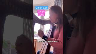 Calon Lân welsh wales calon pureheart folksong celticmusic harp [upl. by Rimidalv499]