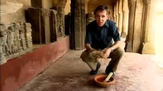 India Exploring Delhi  DW Documentary [upl. by Ainedrag]