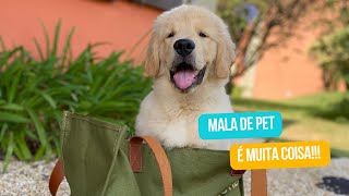 Arrumando as malas dos nossos Golden Retrievers [upl. by Conah]