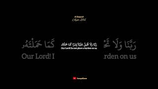 Surah AlBaqarah  Black Screen TranquilQuran quran beautifulrecitation blackscreenquran [upl. by Arrekahs]