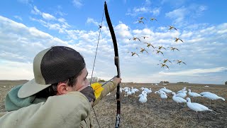 Snow GOOSE HUNTING Using a RECURVE BOW 160 BIRD HUNT [upl. by Shandeigh]