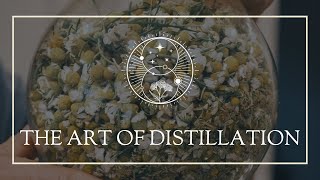 The Art of Distillation in Spagyrics [upl. by Hueston797]