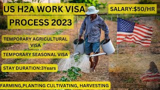 US H2A Work Visa Process 2023 Temporary Agriculture VisaUSAusavisas usvisa us usworkvisa [upl. by Odnarb574]