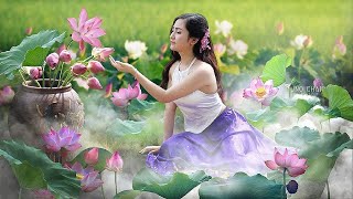 Vietnamese Music  Vietnamese Traditional Bamboo Flute  Relaxing Instrumental Music for Sleep [upl. by Anuahsat]