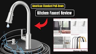 American Standard PullDown Kitchen Faucet Review [upl. by Deck]