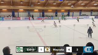 Edina vs Wayzata [upl. by Eliason335]