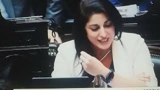 Milei y sus Leonas en este caso Dip Juliana Santillán [upl. by Bulley]