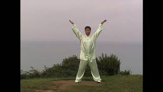 Dao Yin Bao Jian Gong Qigong 1st Form [upl. by Valenta]