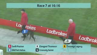 Crayford Greyhounds Races on 31st October 2024 [upl. by Aihsetal]