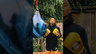 Aqua Bag 190 lbs ❌ Cleto Reyes Boxing Gloves [upl. by Lolita]