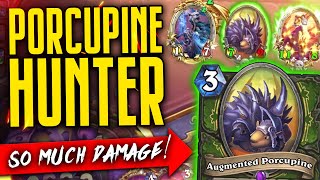 My Favorite Hunter Deck 🐃 HUGE Porcupines 🐃  Wailing Caverns [upl. by Akaya]