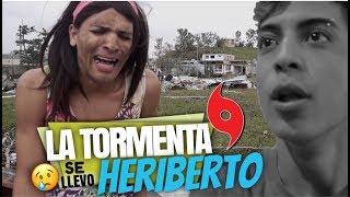 LA TORMENTA SE LLEVO A HERIBERTO💦🌪 [upl. by Lengel754]