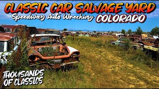 THOUSANDS OF CLASSIC CARS Classic Car Junk Yard Classic Car Salvage Yard Classic Car Graveyard [upl. by Inava]