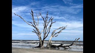 Botany Bay the Boneyard Beach [upl. by Sleinad]