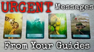 URGENT Messages from Your Guides 📜 PICK A CARD ✉️ Timeless Tarot Reading [upl. by Ahsiuqel960]