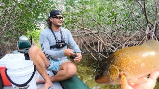 Mangrove Fishing from an inflatable boat catch clean cook [upl. by Gannes]