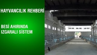 BereketTV Hayvancılık Rehberi  Besi Ahırında Izgaralı Sistem [upl. by Ingamar]