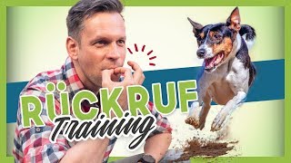 Rückruftraining  Deinem Hund oder Welpen KOMM beibringen [upl. by Plafker]