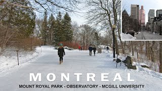 Montreal 2022  Mount Royal Park Observatory McGill University  Winter Walking Tour [upl. by Kacy465]