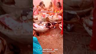 Hokhana sahaia ye chhathi maiya foryou foryoupageofficiall chhathpuja [upl. by Kynthia940]