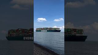 Evergreen Ship  Ever Greet  Big Vessel  Container Ship shorts ytshorts [upl. by Anelat]