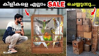 കിളികളെയെല്ലാം വില്‍ക്കുന്നു എല്ലാം നിര്‍ത്തി  Selling Birds at Best Price in Trivandrum [upl. by Hamo]