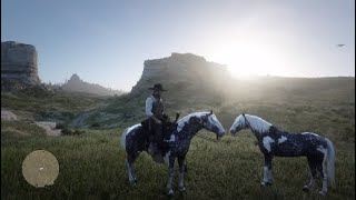 Red Dead Redemption 2 How To Get A Free Male Missouri Fox Trotter [upl. by Llatsyrc]