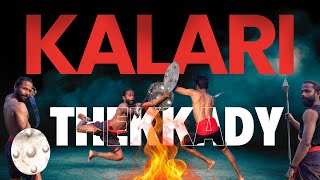 Thekkady Kalari Show  Things To Do In Kerala  Kalaripayattu Of Kerala Teachers day special [upl. by Hynda]