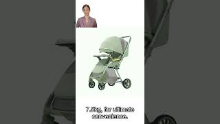 The Stroller That Does It All Comfort Style and Portability [upl. by Dreddy625]