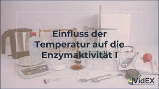 Der Einfluss der Temperatur auf die Enzymaktivität I [upl. by Ydorb]