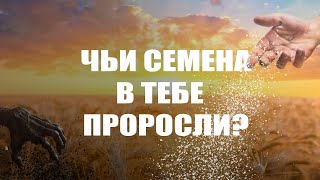 ЧЬЕ СЕМЯ ТЫ ПРИНИМАЕШЬ В СВОЮ ЖИЗНЬ ИСТИНА И ЛОЖЬ БОРЯТСЯ [upl. by Libenson435]