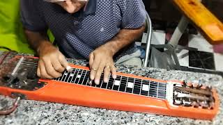 Guitarra Havaiana Seu nome Lap Steel Transpose Guitar [upl. by Einhpad]