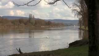 Sur les bords de la Moselle à BechKleinmacher LU ◦☼◦ [upl. by Virg]