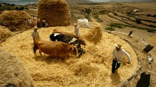 240908 The Threshing Floor [upl. by Garmaise]