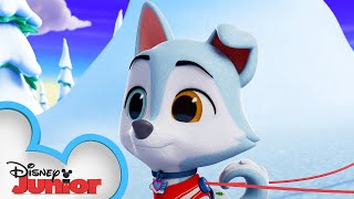 Sled Pup ❄️🐶  TOTS  disneyjr [upl. by Berton]