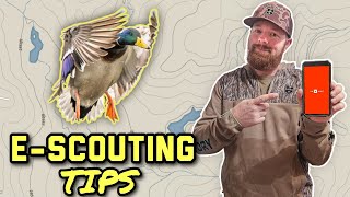 Mapping Ducks What To Look For EScouting [upl. by Adnahsal]