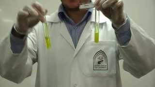 Picric Acids test Part 2 to differentiate between Gelatin amp peptone [upl. by Aivilys]