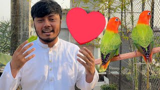 ভালোবাসার মাসে Lovebird এর জন্য বউ এনেছি [upl. by Suruat57]