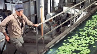 Soylent Green 1973 Movie Review [upl. by Anyr238]