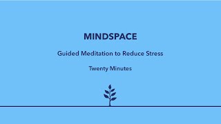 MEDITATION  20 Minute Guided Meditation to Reduce Stress [upl. by Gaul]