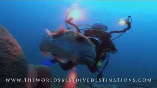 THE WORLDS BEST DIVE DESTINATIONS [upl. by Thurmond443]