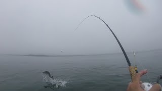 Catching a BIG SALMON with my BARE HANDS  Monterey Bay Salmon Fishing [upl. by Ashti]