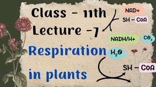 Respiration in plants Lecture  7 [upl. by Gaultiero429]