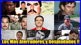 Top 10 Narcos MEXICANOS Más TEMIDOS y PODEROSOS [upl. by Neirad]